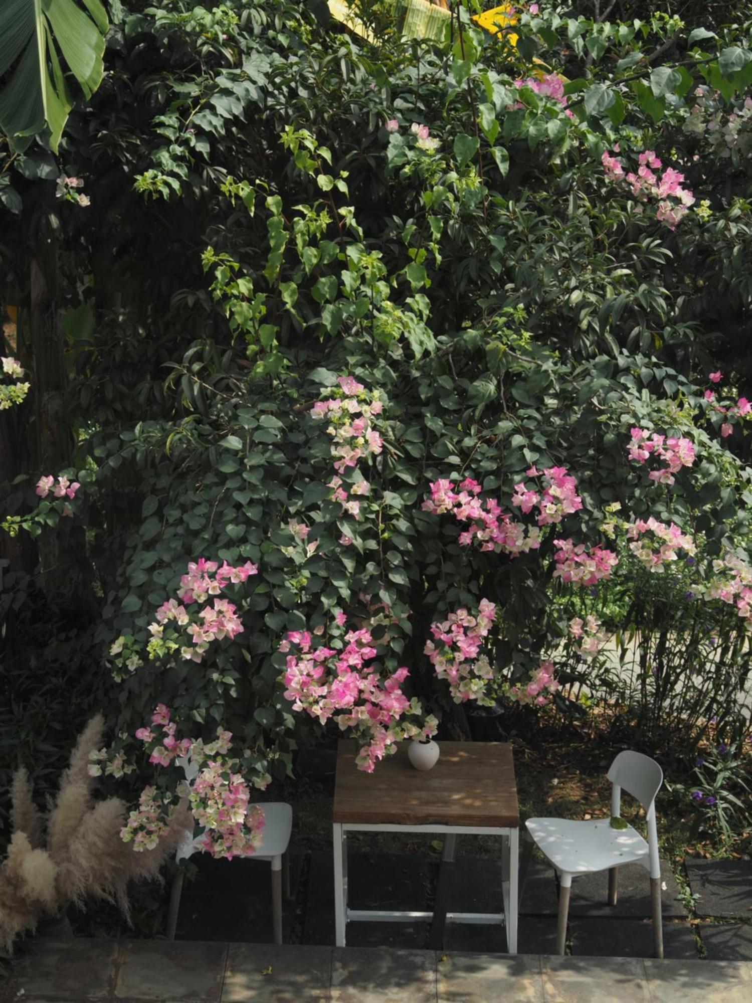 Yangshuo Hillside Homestay Luaran gambar