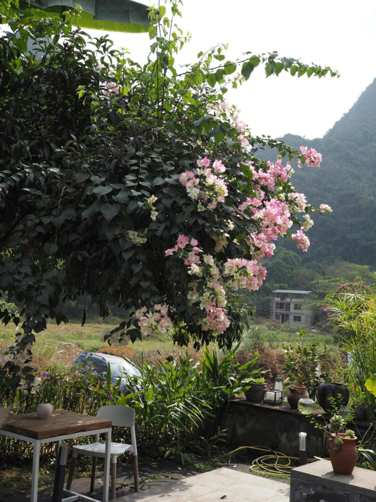Yangshuo Hillside Homestay Luaran gambar