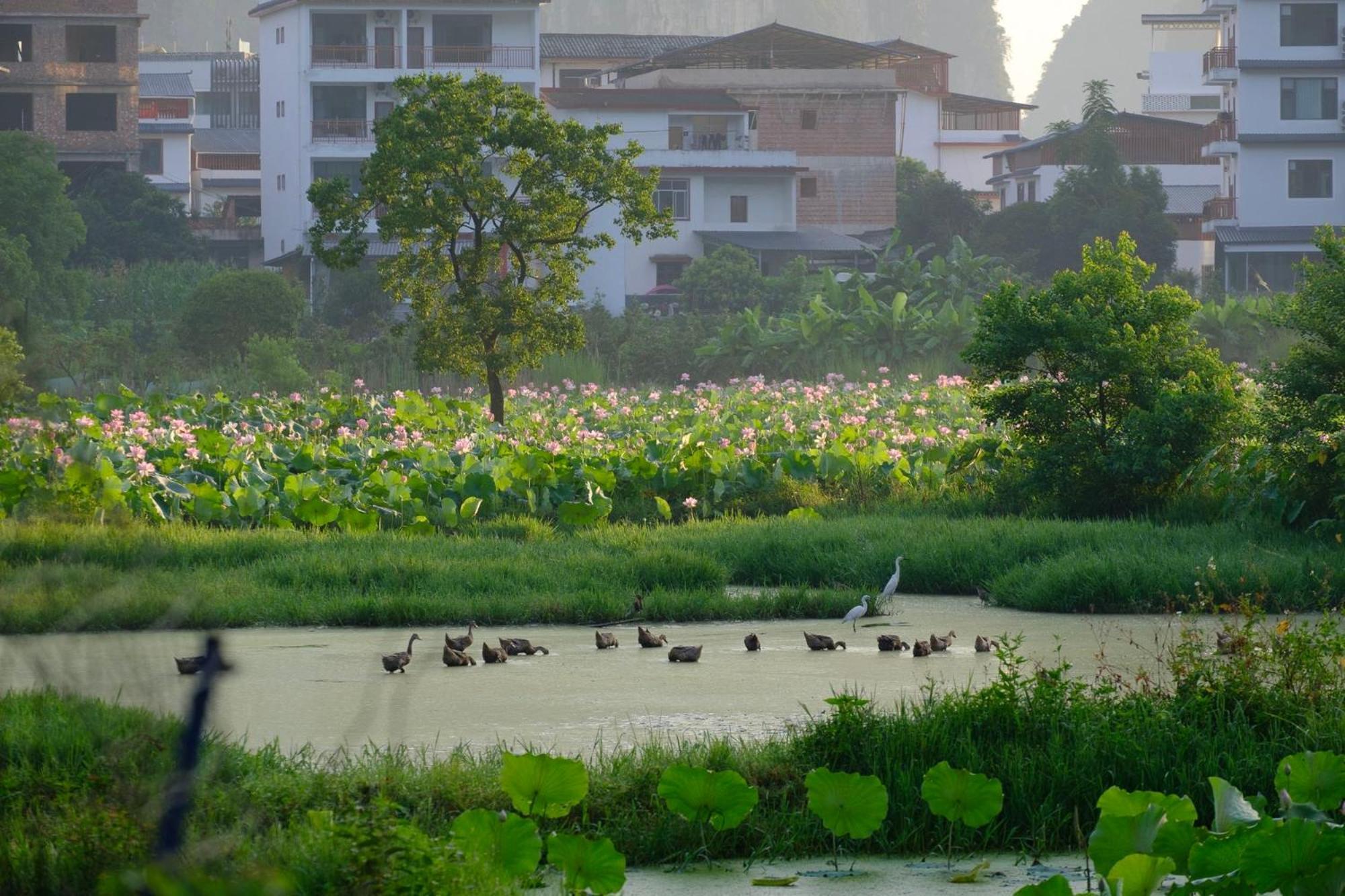 Yangshuo Hillside Homestay Luaran gambar