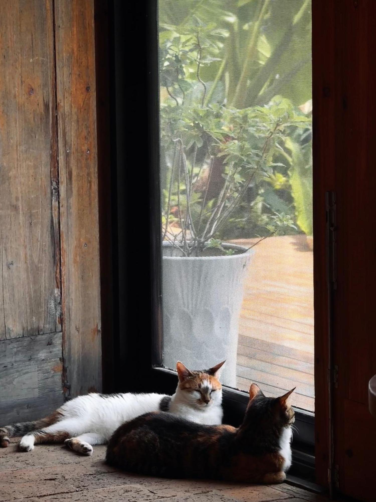 Yangshuo Hillside Homestay Luaran gambar