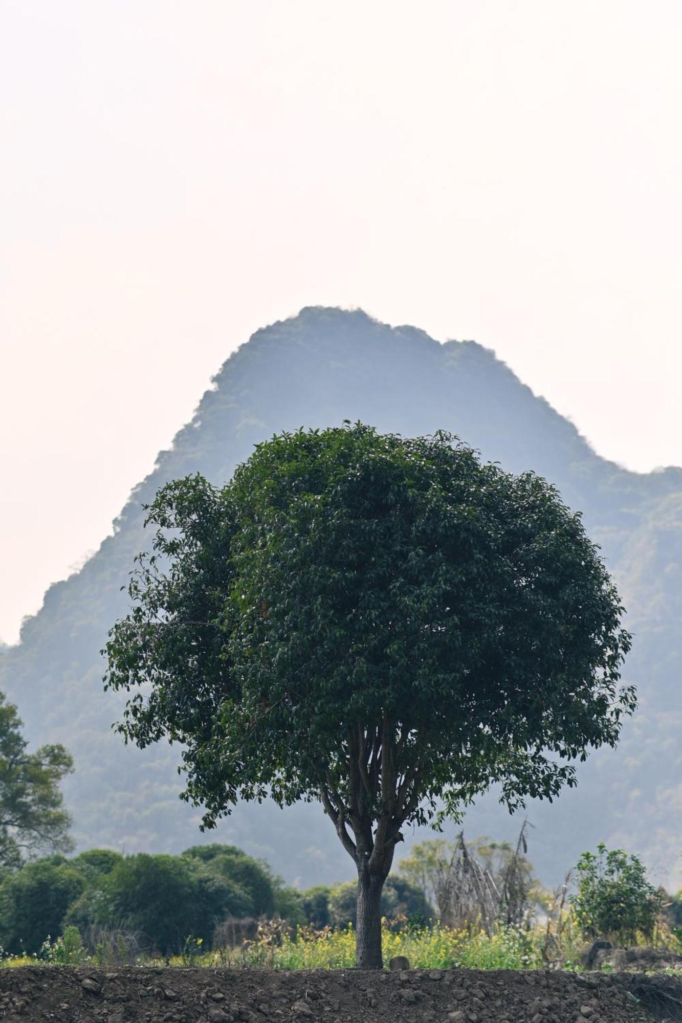 Yangshuo Hillside Homestay Luaran gambar