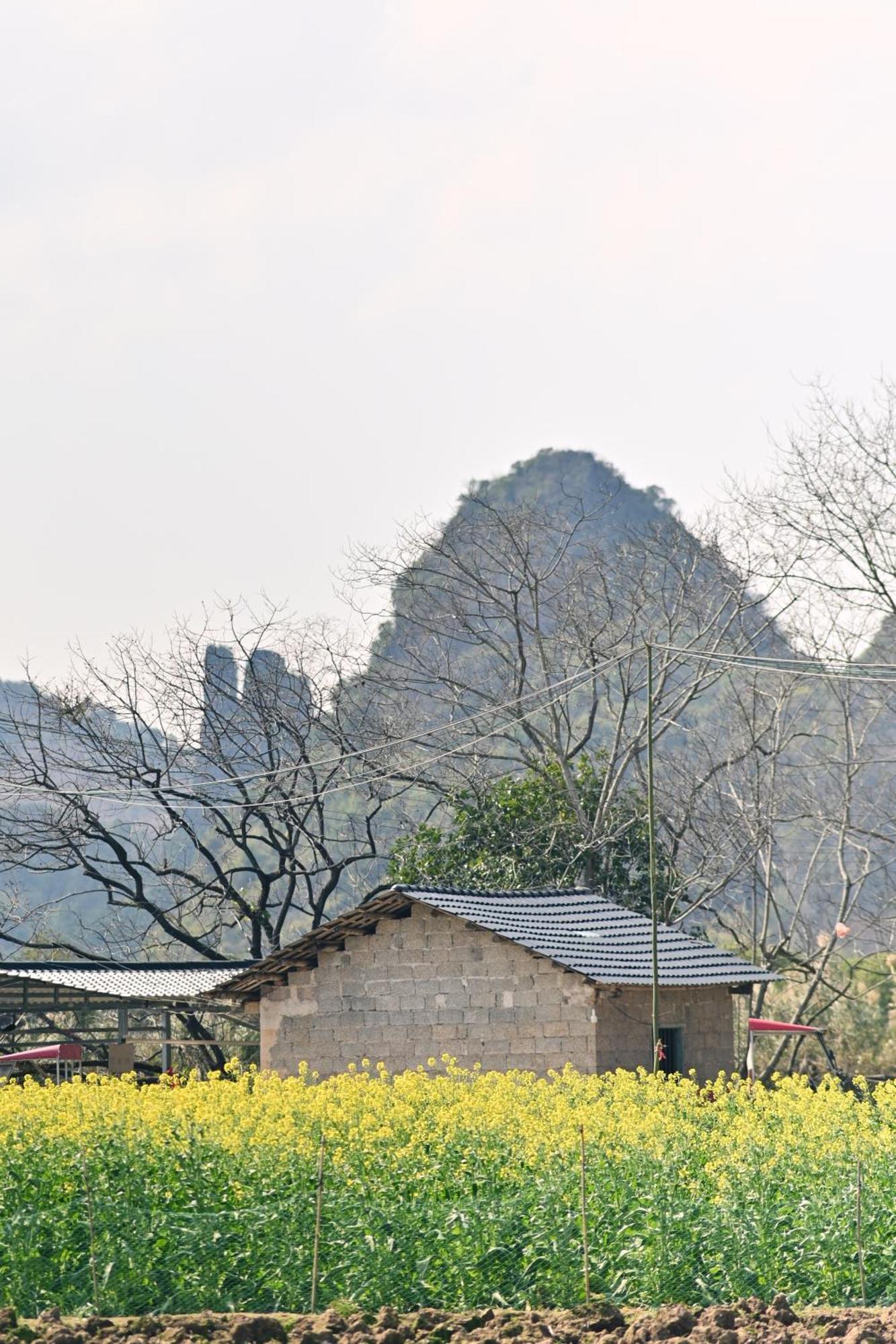Yangshuo Hillside Homestay Luaran gambar